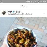 야 <b>미국</b> <b>선수</b> ㄹㅇ 한국인 아냐,,??