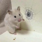 [드루와] 너네는 <b>사생홈</b>