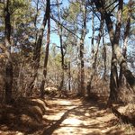 [EXO] ㅇㅑ 나 오늘 <b>등산</b>하는데 훈스타떠서 소름돋았잖아