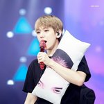 [백현] 백현이 친구얼굴<b>쿠션</b>? 으로 ㅋㅋ