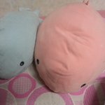 [드루와] 내 고래인형을 소개합니다!!