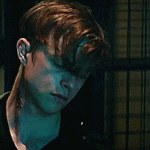 튤립<b>피버</b> 본사람?