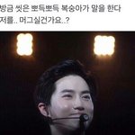 [EXO] 준면 <b>복숭아</b>는 진짜 이거 세개가 갑임;;