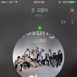[세븐틴] <b>캐럿</b>들 열스!