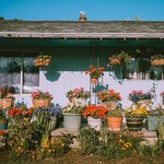 사복예븐연예인인스타알려쥰댜