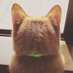 [ㅠㅠ] 나 옛날에 진짜 <b>사촌</b> 오빠랑