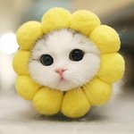 긋<b>모닝</b>~