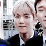 [EXO] 너네까지 모르면 어쩌라는곀ㅋㅋㅋㅋㅋ