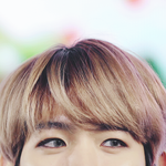 [EXO] 에휴 살다살다 눈썹가지고 뭐라하는사람<b>첨</b><b>봄</b>