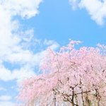 너네 삶은<b>달걀</b> 어떻게 먹어