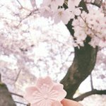 다들 짝남 자랑하고 가