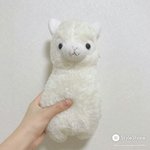 [이삐] 제2<b>외국어</b> 질문좀ㅠ