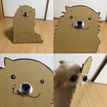 너의 <b>실체</b>