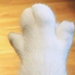 [댓글부탁해] <b>안구</b>건조증에 눈 많이 예민한에