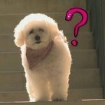 요즘에 밤12시에 <b>자서</b> 새벽4시에 일어남