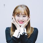 큐티뽀짝 그 자체인 신인여돌(역대급 비주얼 그룹)