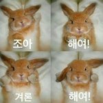 [댓글부탁해] 방금 <b>수치</b>플 씹오짐 ㅠㅠㅠㅠㅠ