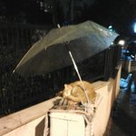[댓글부탁해] 너네 역대급 셀카 나오면 프사 할꺼야?