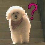 [19] 나 성정체성?에 혼란이와 도와죠...