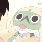 [드루와] 친구가 비누를 줬는디 모양이