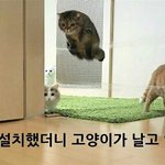 1년동안 은따 당하니깐