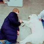 [댓글부탁해] 애즈랜드에서 굿즈 <b>발주</b>해본사람