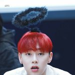 판녀들 오늘 뭐할<b>꼬야</b>