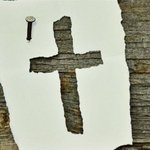 이단상<b>담소</b>의 진실은?