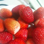 [EXO] 딸기먹는다 죤맛