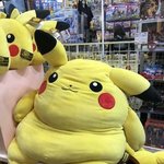 연예인 본 후기 적고 가자