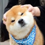 [댓글부탁해] 인생이 <b>시트콤</b> 그렇게 살고싶다