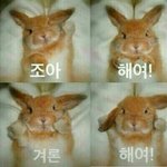 [댓글부탁해] 벨<b>크로</b>운동화추천좀