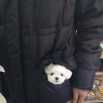 벨<b>크로</b> 운동화 추천ㄱㄱ