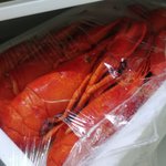 [댓글부탁해] 랍<b>스터</b>랑 고구마랑 어울릴까