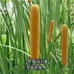 [댓글부탁해] 과학잘하는애들없니