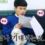 [댓글부탁해] 한국사 잘하는애들?