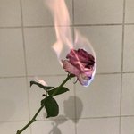 짝사랑 중인 애들 들어와바