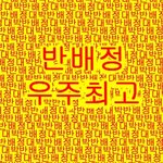 [드루와] 귀 한번 뚫고나면 더 뚫고싶지 않냐