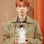 [EXO] 변백현 <b>웜톤</b>/쿨톤 한번에 보여주는 짤 찾아옴