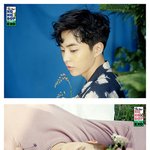[EXO] 뭔가 코코밥뮤비랑 티저랑 느낌 다르지 않냐