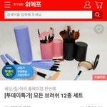 <b>브러쉬</b> 필요한 판녀들