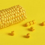 <b>식재료</b>로 만들어낸 이야기