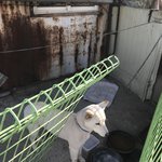 넘 불쌍한 아이가 있습니다~ (경기 <b>화성</b>)
