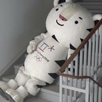 [개어이없음] 하지말았어야 할 대한민국 3대 기자회견