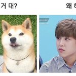 [댓글부탁해] 싸고 좋은 <b>일자</b>바지 어디 엄냐