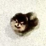 [댓글부탁해] <b>볼살</b> 직빵으로 빠지는 운동 좀
