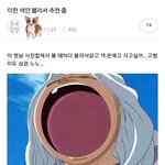 [댓글부탁해] 여적여보단 <b>남적</b>남이 훨씬 심하지;