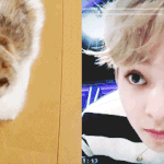 [시우민] 시우민이 <b>집사</b>를 볼때 요로케 올려다본다고