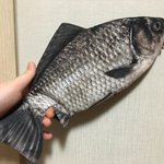 [드루와] 내 <b>fish</b>필통 개예쁘지않냐?