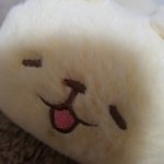 <b>필통</b> 사고 싶은 사.. . 람